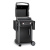 Гриль газовый Weber Spirit E-210 Original, черный Гриль газовый Weber Spirit E-210 Original, черный