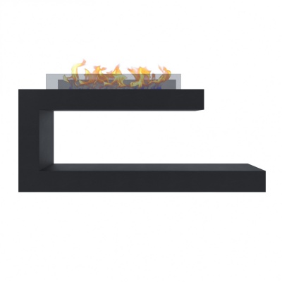 Биокамин Future