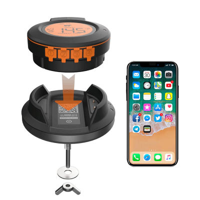 Цифровой четырехканальный термометр Smart Wireless Bluetoth + 2 термощупа Diamond Egg Цифровой четырехканальный термометр Smart Wireless Bluetoth + 2 термощупа Diamond Egg