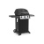 Гриль газовый Broil King BK 310 Гриль газовый Broil King BK 310