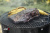 Угольный гриль - коптильня Weber Smokey Mountain Cooker, 57 см, черный Угольный гриль - коптильня Weber Smokey Mountain Cooker, 57 см, черный