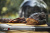 Угольный гриль - коптильня Weber Smokey Mountain Cooker, 57 см, черный Угольный гриль - коптильня Weber Smokey Mountain Cooker, 57 см, черный